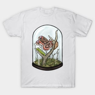 Cecropia Moth Terrarium T-Shirt